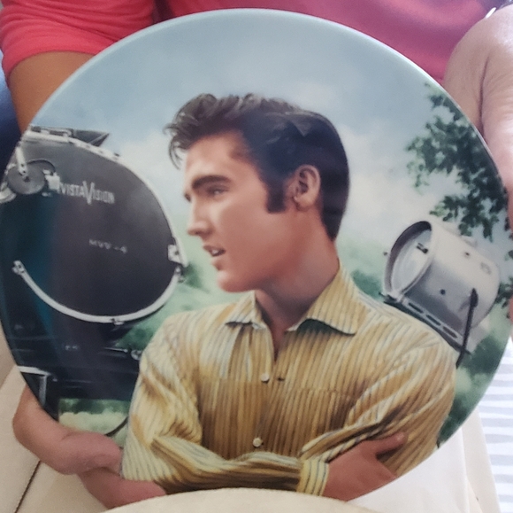 The bradford exchange collectors plate - Picture 1 of 1